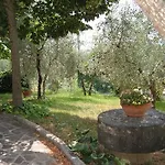 L'uliveto