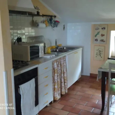 L'uliveto Alloggio per agriturismo *