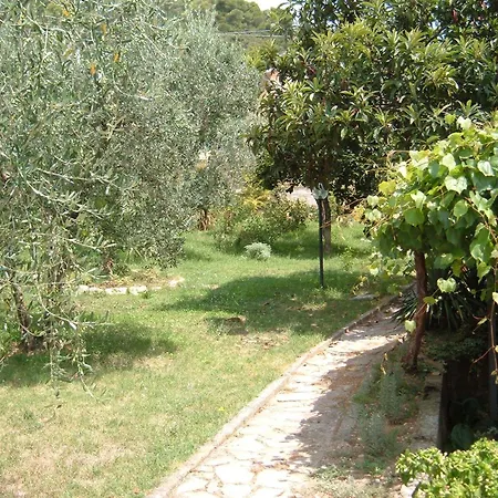 L'uliveto Montebuono (Lazio)