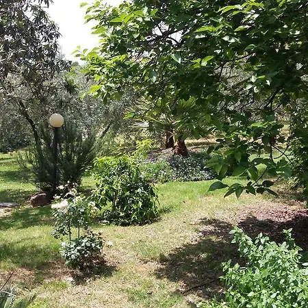مزرعة للإقامة L'uliveto