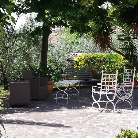 L'uliveto Montebuono (Lazio)