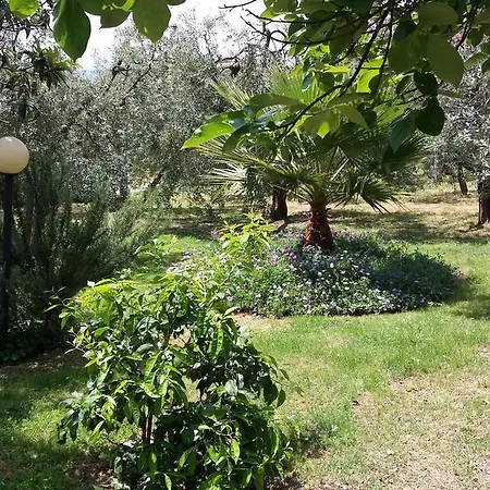 مزرعة للإقامة L'uliveto