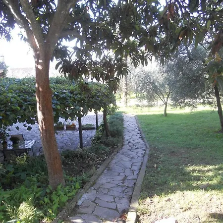 L'uliveto Alloggio per agriturismo