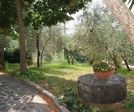 L'uliveto
