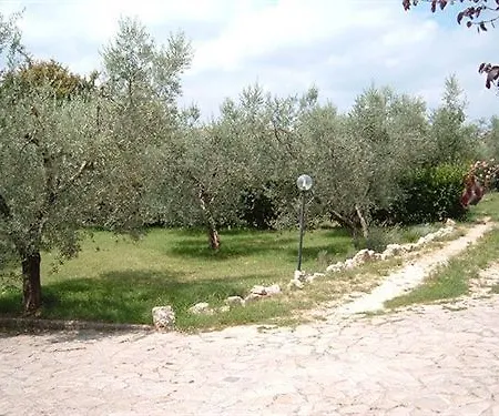 L'uliveto Alojamento de Turismo Rural *
